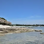 Pintar * Novigrad Istria