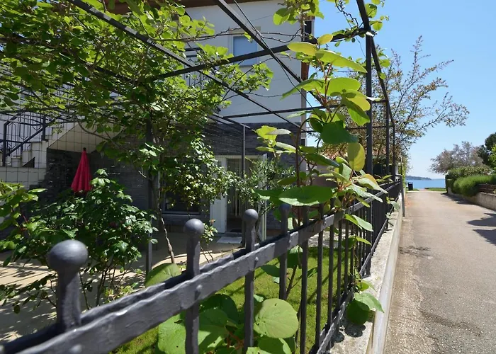 Pintar Novigrad (Istria)