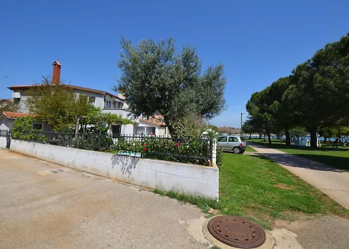 Pintar * Novigrad (Istria)