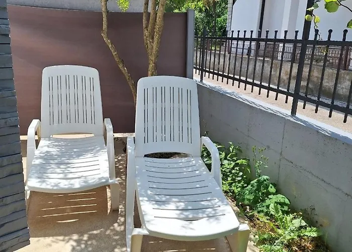 Pintar * Novigrad (Istria)