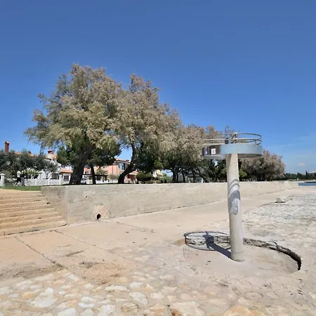 Pintar Novigrad Istria
