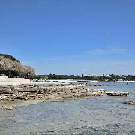 Pintar * Novigrad Istria