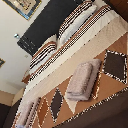 Apartament Pintar *