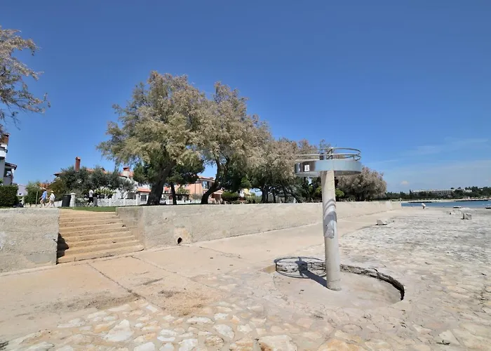 Pintar Novigrad Istria