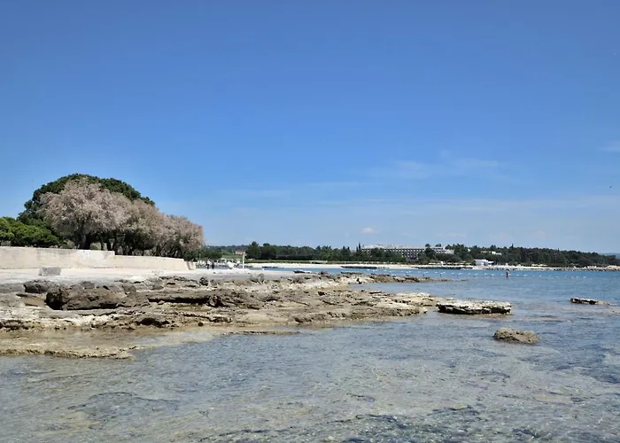 Pintar * Novigrad Istria